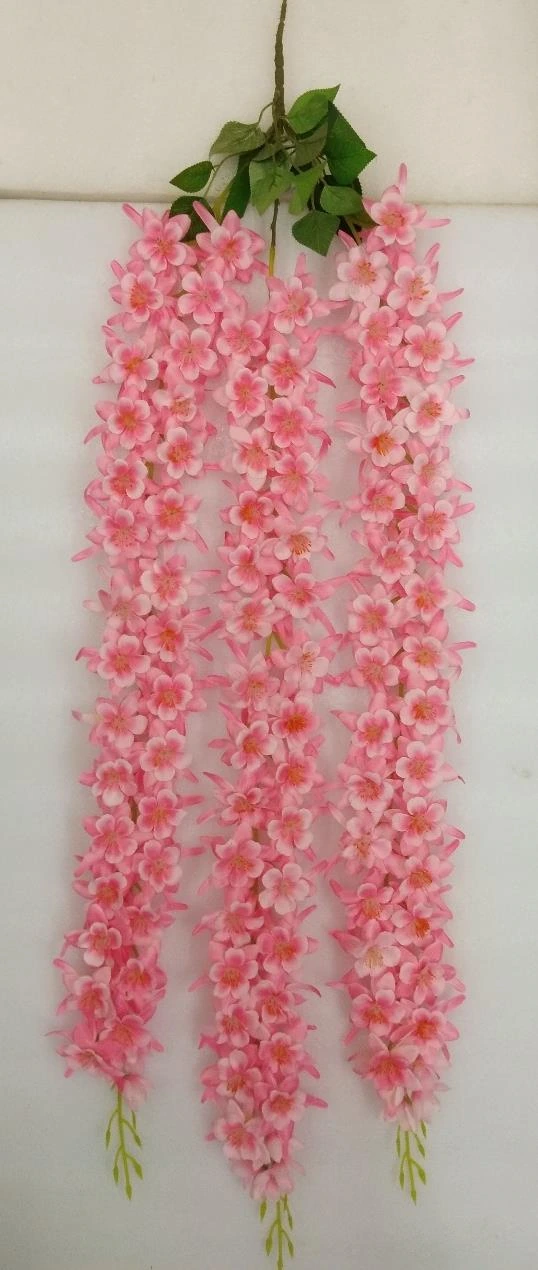 Hanging One Sided Creeper 3x2